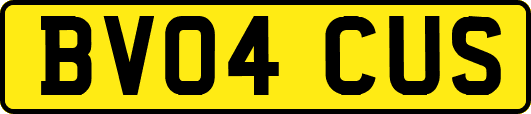BV04CUS