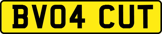 BV04CUT