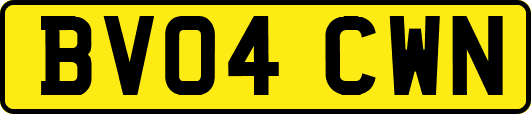 BV04CWN