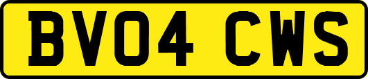 BV04CWS