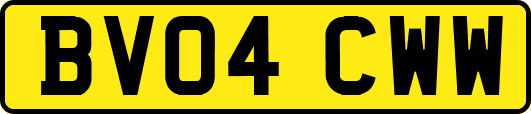 BV04CWW