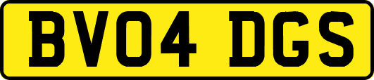 BV04DGS