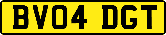 BV04DGT