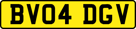 BV04DGV