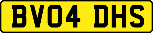 BV04DHS