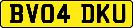 BV04DKU