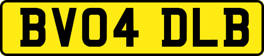 BV04DLB