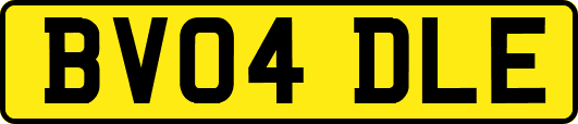 BV04DLE