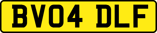 BV04DLF