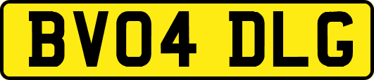 BV04DLG