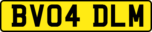 BV04DLM