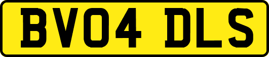BV04DLS