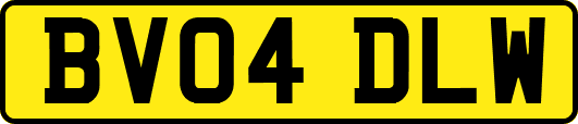 BV04DLW