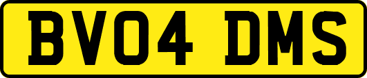 BV04DMS