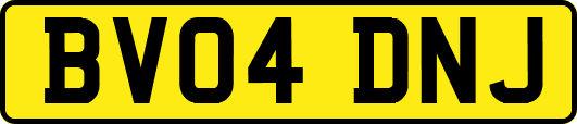 BV04DNJ