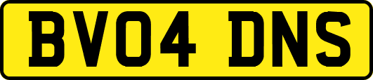 BV04DNS