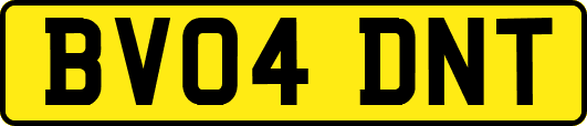 BV04DNT