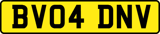 BV04DNV
