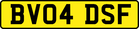 BV04DSF