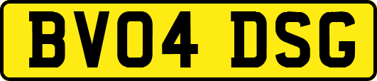 BV04DSG