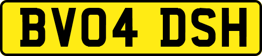 BV04DSH