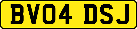 BV04DSJ