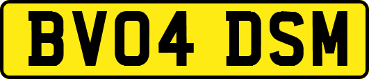 BV04DSM