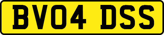 BV04DSS