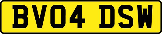 BV04DSW