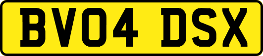 BV04DSX