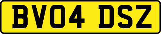 BV04DSZ