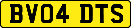 BV04DTS