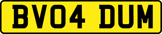BV04DUM
