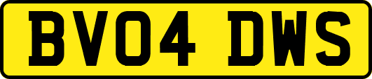 BV04DWS