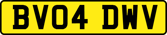 BV04DWV