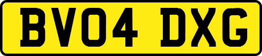 BV04DXG