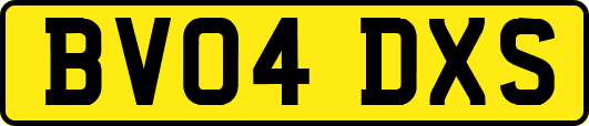 BV04DXS