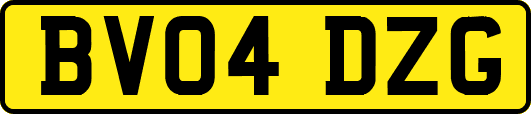 BV04DZG