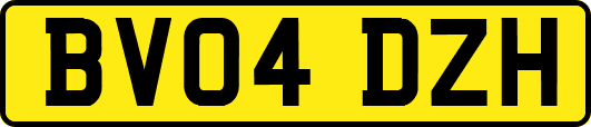 BV04DZH