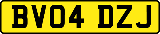 BV04DZJ