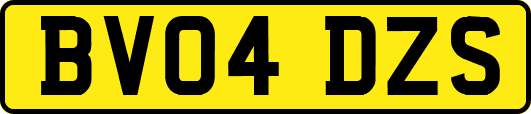 BV04DZS