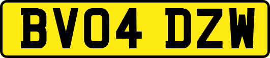 BV04DZW