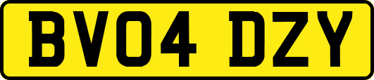 BV04DZY