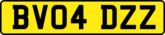 BV04DZZ