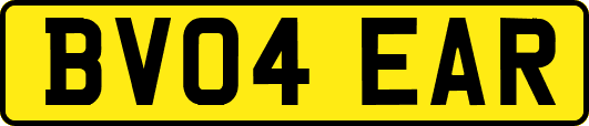 BV04EAR