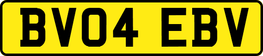 BV04EBV