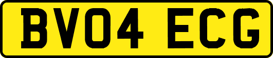 BV04ECG