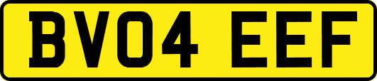 BV04EEF