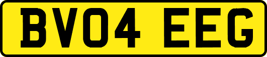 BV04EEG