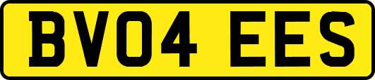 BV04EES